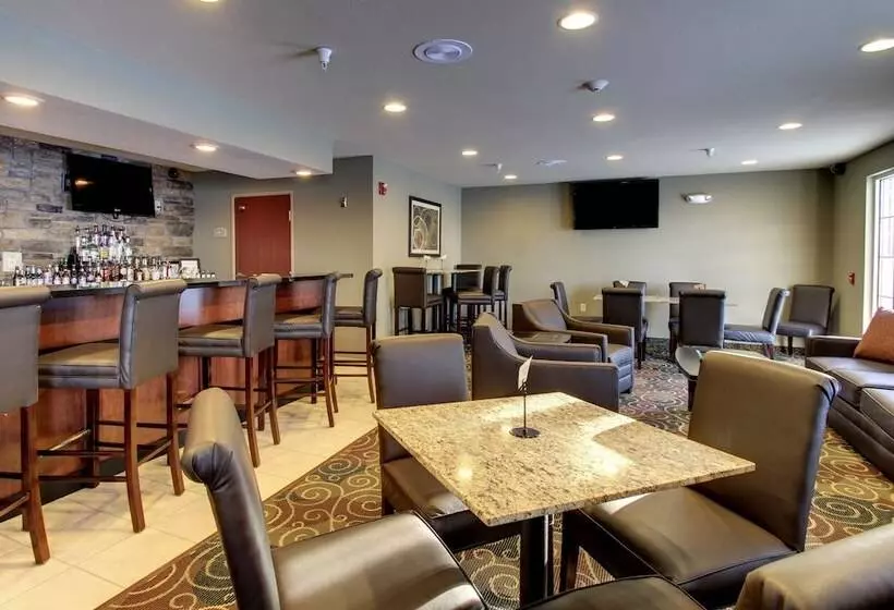 Отель Cobblestone Inn & Suites  Rugby