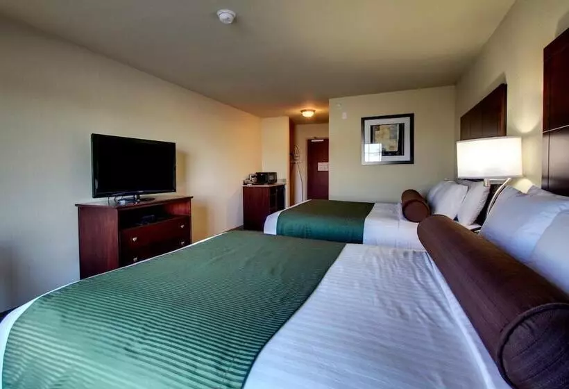 Отель Cobblestone Inn & Suites  Rugby