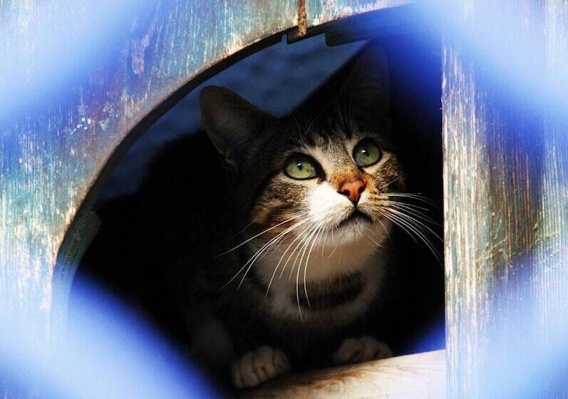 בית מלון כפרי Dar Mounir