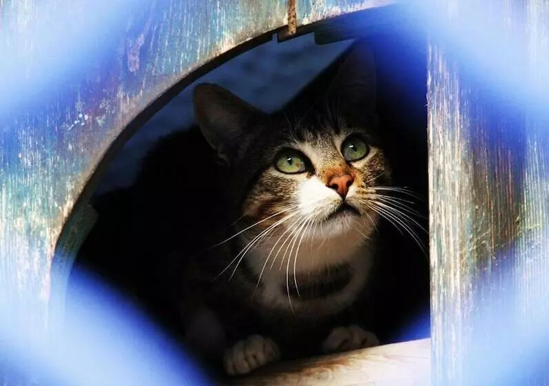 Отель Dar Mounir