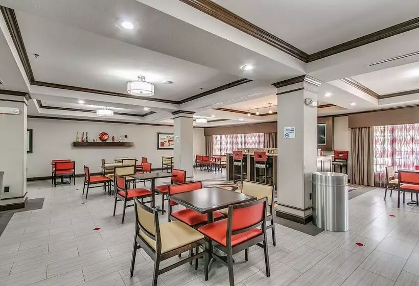 Hotelli Holiday Inn Express And Suites Lubbock South, An Ihg