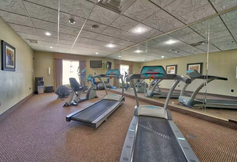 Hotelli Holiday Inn Express And Suites Lubbock South, An Ihg