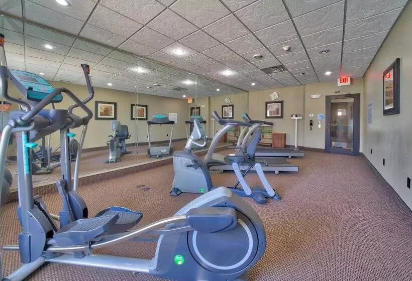 Hotelli Holiday Inn Express And Suites Lubbock South, An Ihg