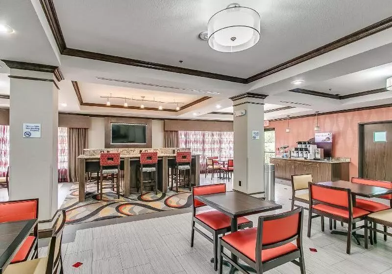 Hotelli Holiday Inn Express And Suites Lubbock South, An Ihg