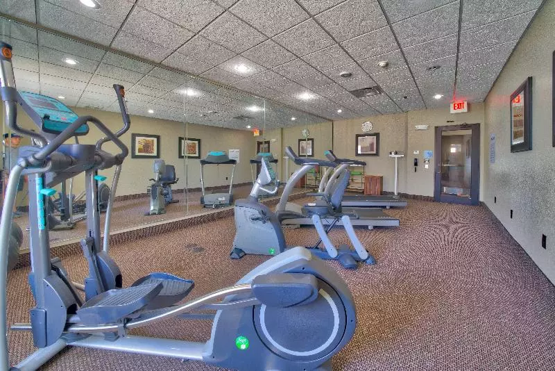 Hotelli Holiday Inn Express And Suites Lubbock South, An Ihg