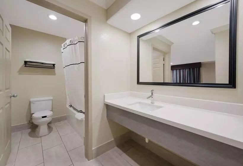 Мотель Americas Best Value Inn I 45 / Loop 610