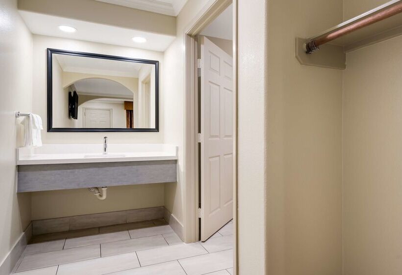 Motel Americas Best Value Inn I 45 / Loop 610