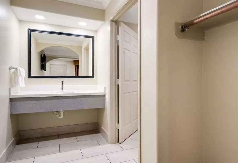 Мотель Americas Best Value Inn I 45 / Loop 610