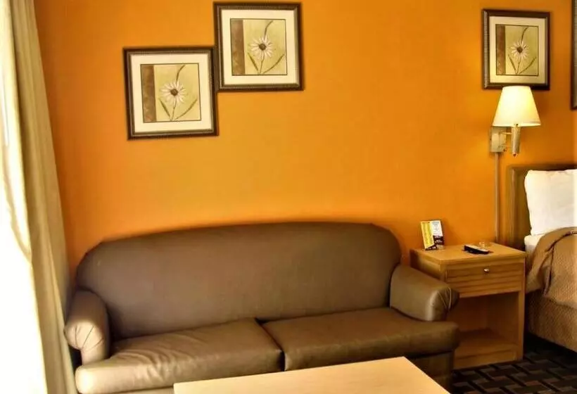 汽车旅馆 Budget Inn Conway