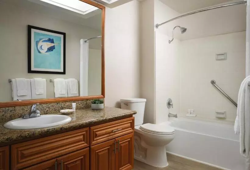 Курорт Hyatt Vacation Club At Desert Oasis