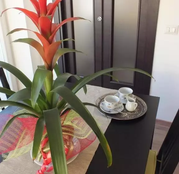 Romantic Holiday Rome B&b