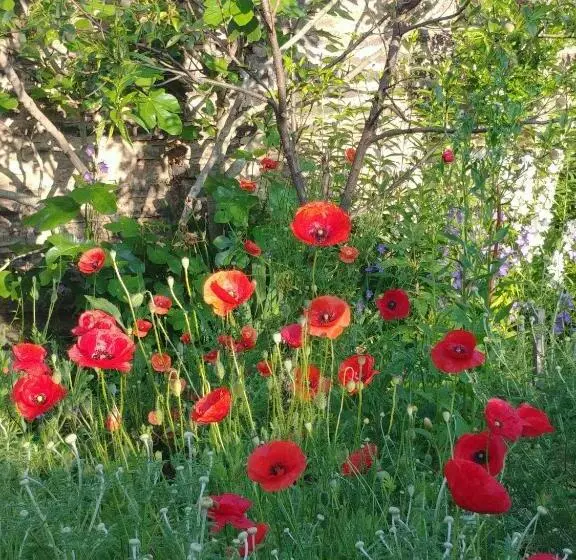Aamiaismajoitus (B&B) Au Jardin De La Maison Des Soeurs