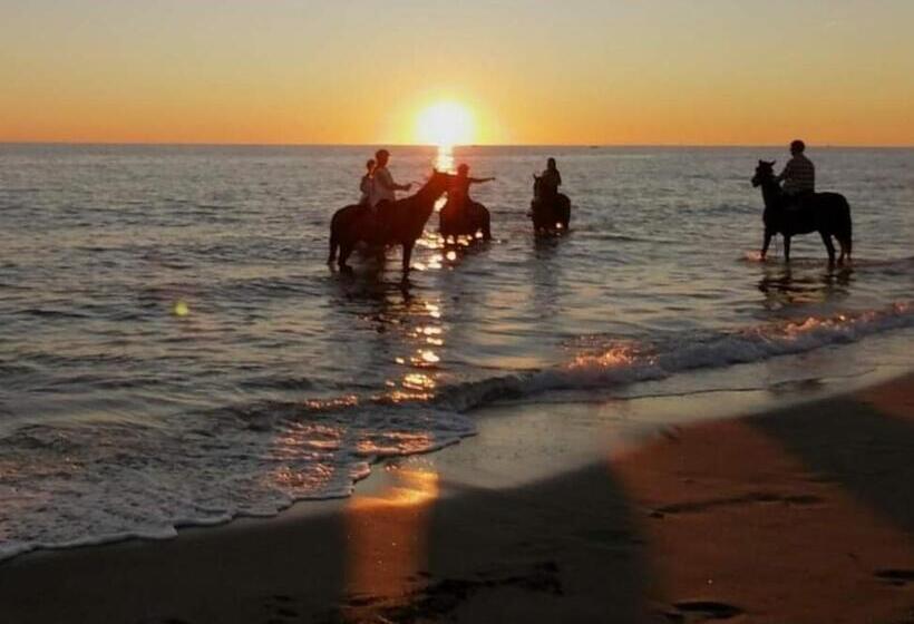 住宿加早餐  Mediterraneo Travel