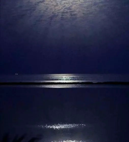 ベッドアンドブレックファースト Mediterraneo Travel