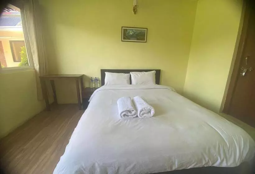 تختخواب و صبحانه Ocean Inn