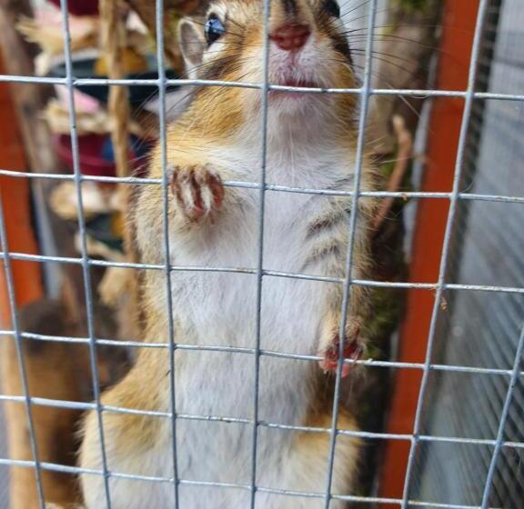 Hideaway Escapes, Farmhouse B&b & Holiday Home, Ideal Family Stay Or Romantic Break, Friendly Animal