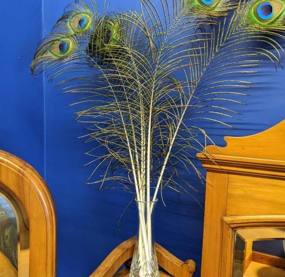 Hideaway Escapes, Farmhouse B&b & Holiday Home, Ideal Family Stay Or Romantic Break, Friendly Animal