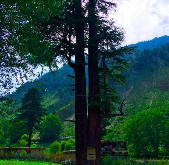 فندق Chitral Inn Resort