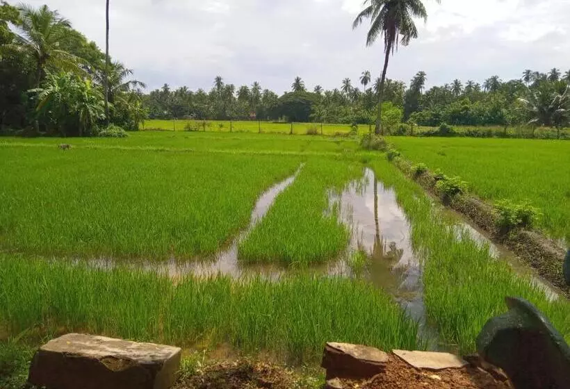 ホテル Coconut Island Yala