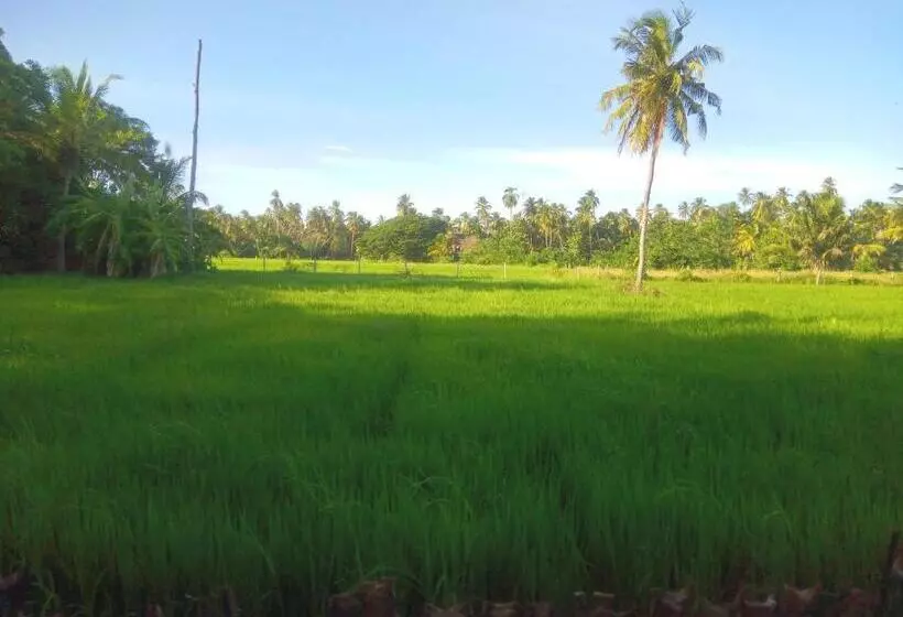 ホテル Coconut Island Yala