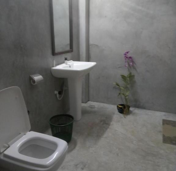 Hotel Coconut Island Yala