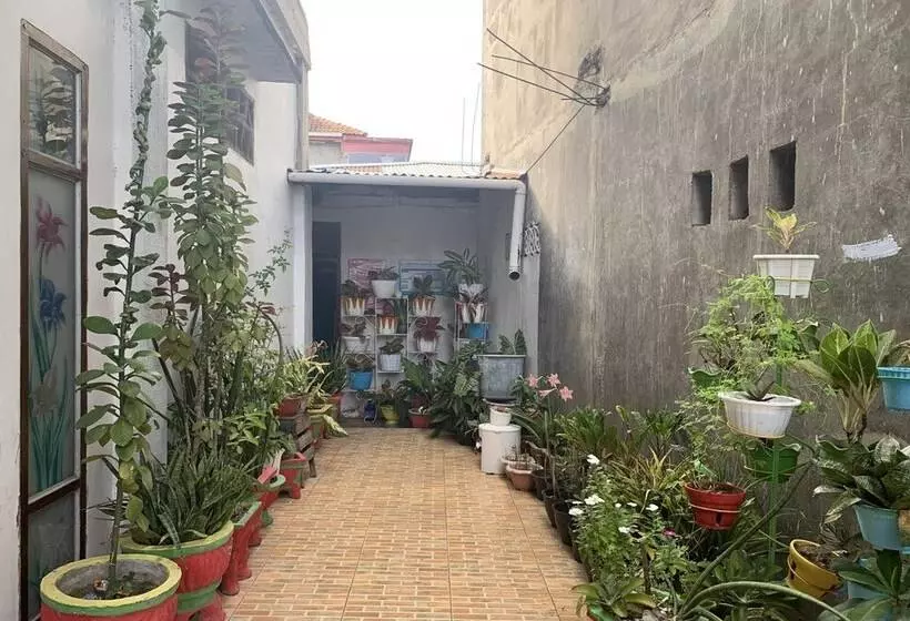 Hotelli Homestay Awal Fajar Syariah Bulukumba