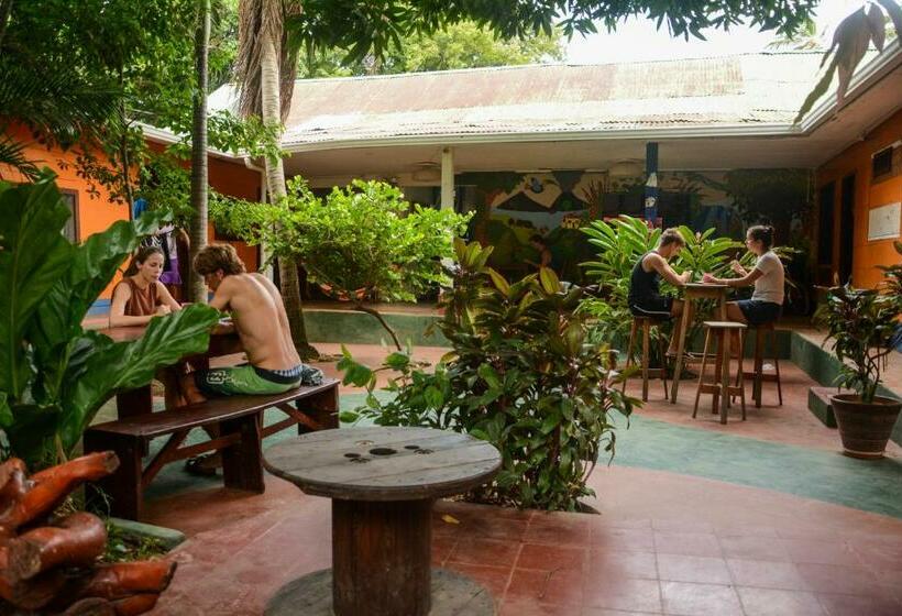 ペンション Hostel Esperanza