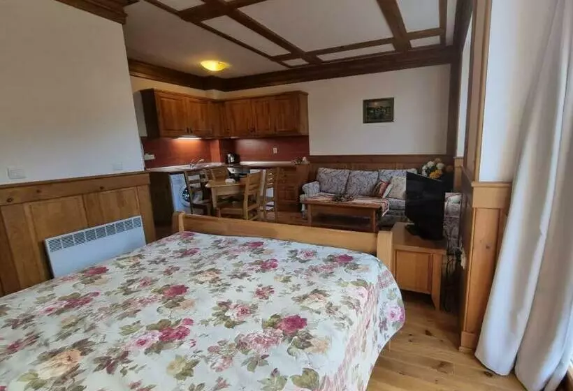リゾートホテル Pirin Golf Hotel Private Studios