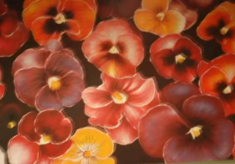 B&b Alla Casa Di Lucia