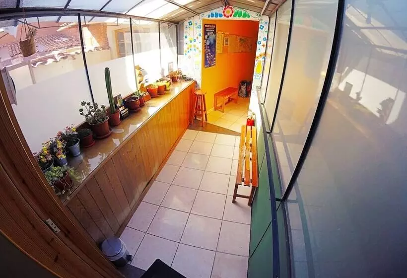 Bed & Breakfast Net House Cusco