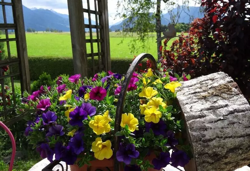 Отель Adlerhof Am Sonnenplateau