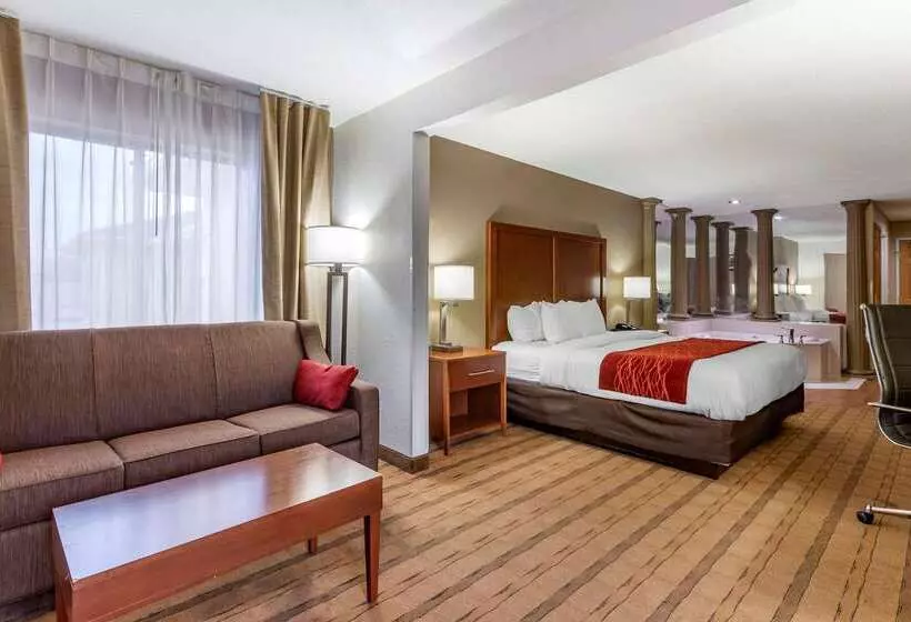 בית מלון כפרי Comfort Inn & Suites Cedar Rapids North Collins Road