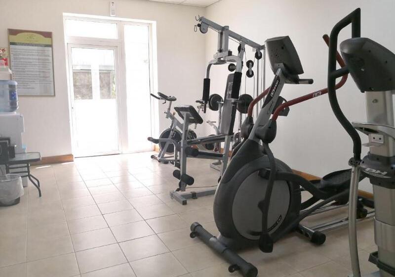 בית מלון כפרי Diego De Almagro Rancagua