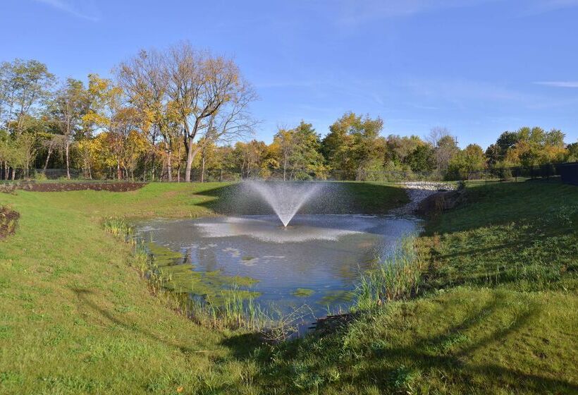 هتل Hampton Inn & Suites Ann Arbor West