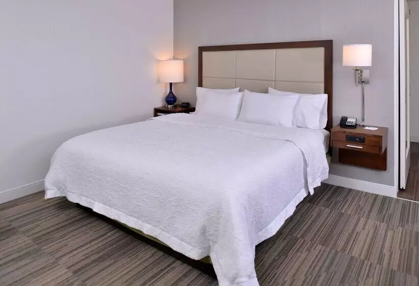 هتل Hampton Inn & Suites Ann Arbor West