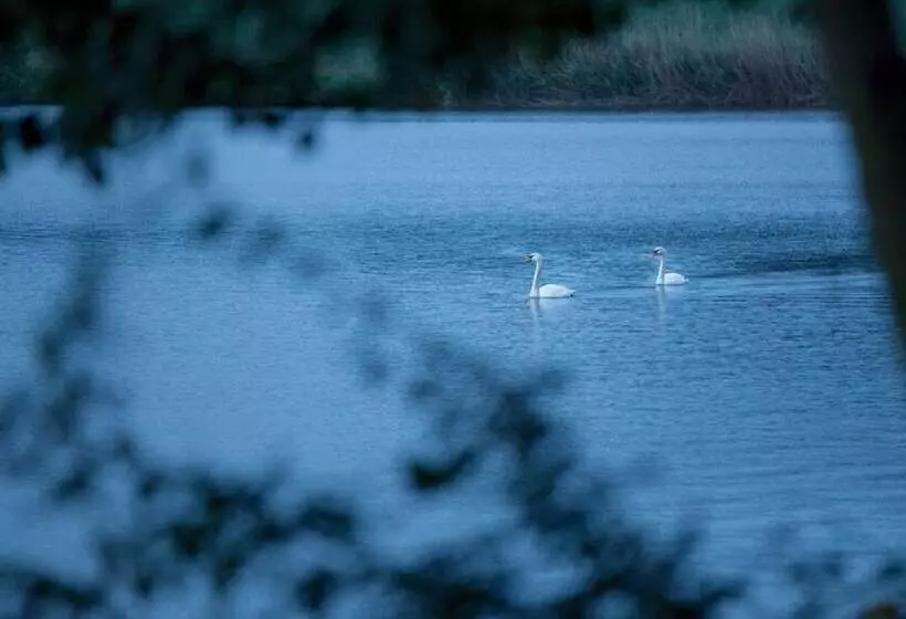 Hotel Schüttkasten Geras