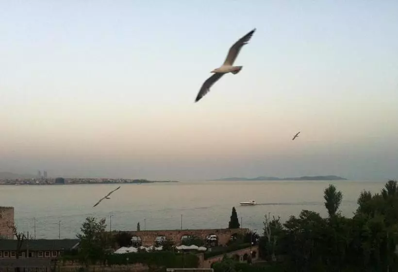 Spinel Hotel   Old City