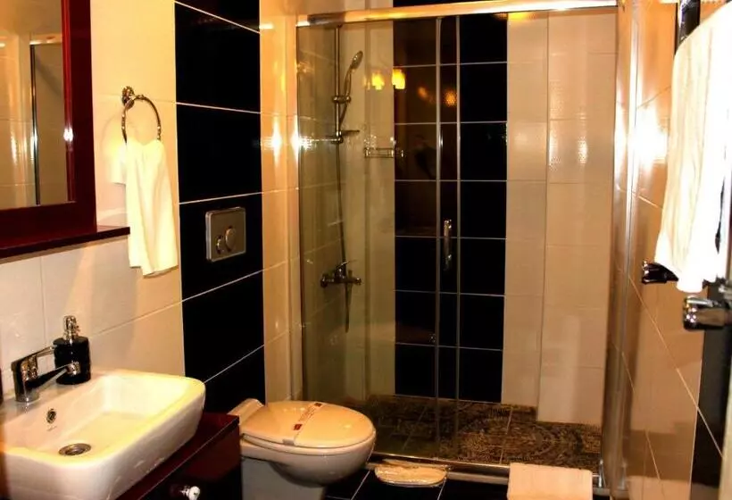 Spinel Hotel   Old City