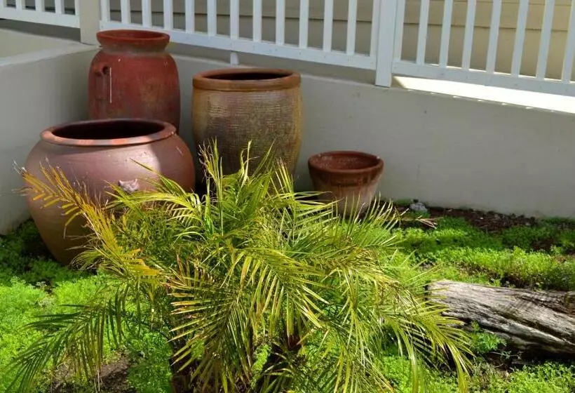 On The Beach Bed And Breakfast