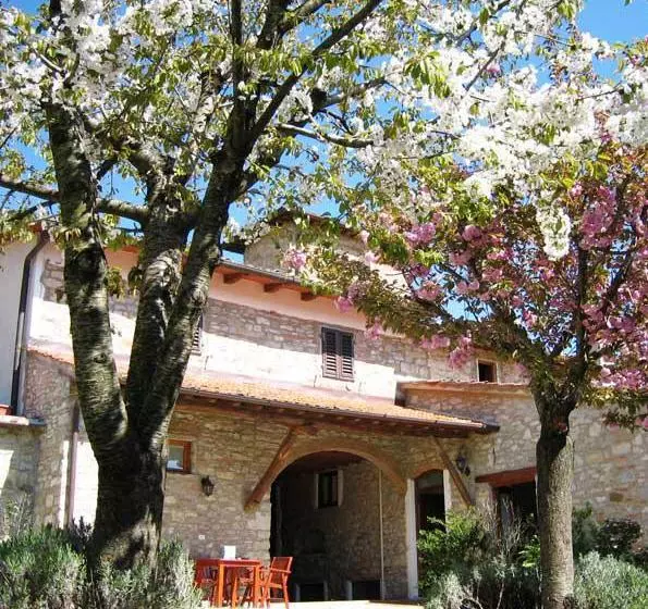 Podere Vignola