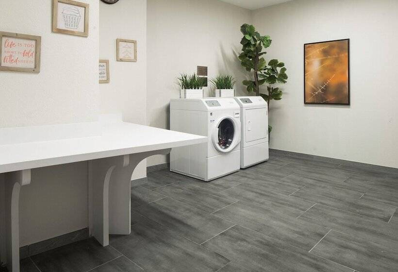 Hotel Fairfield By Marriott Inn & Suites Dallas Mckinney