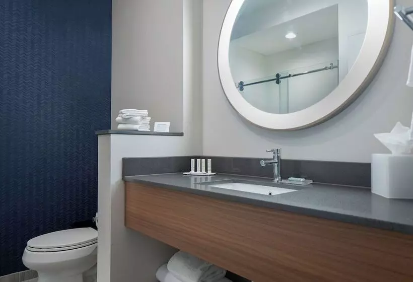 Hotelli Fairfield By Marriott Inn & Suites Dallas Mckinney