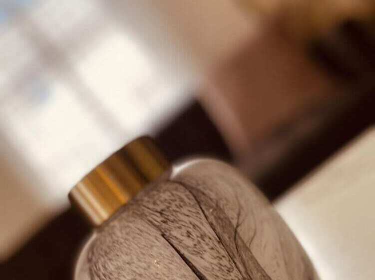 בית מלון כפרי Mina Suites