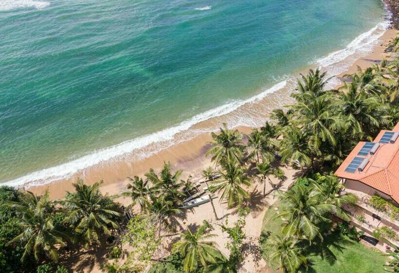 호텔 The Slow Vegan