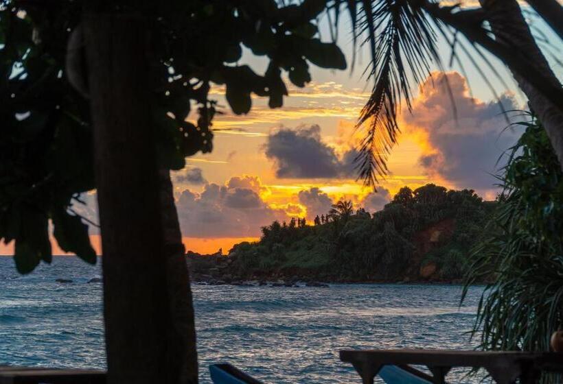 호텔 The Slow Vegan