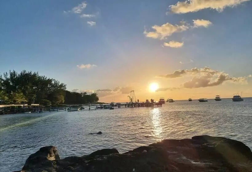 پانسیون Studio Solitaire Ideal For Two Adults