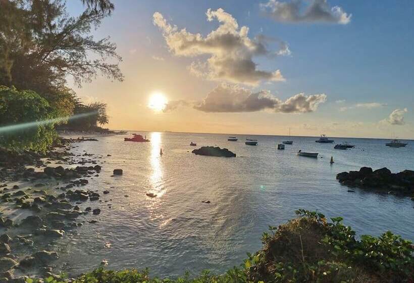 پانسیون Studio Solitaire Ideal For Two Adults