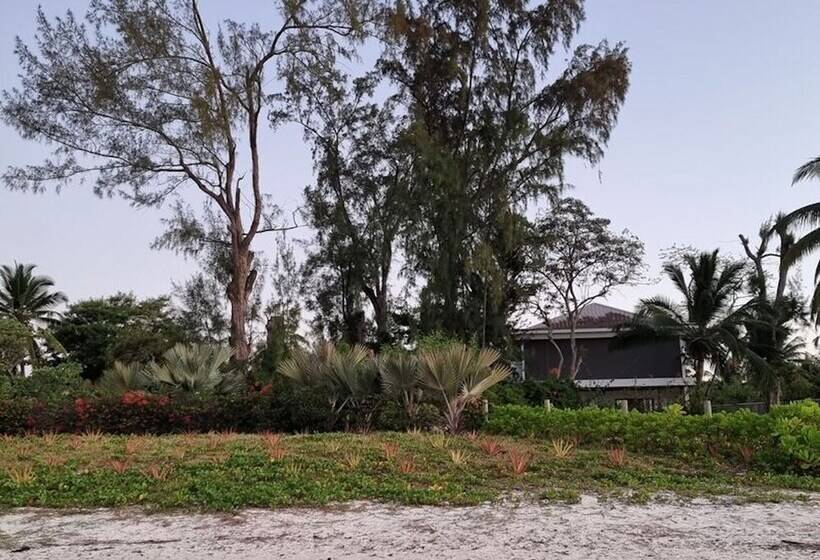 پانسیون Studio Solitaire Ideal For Two Adults