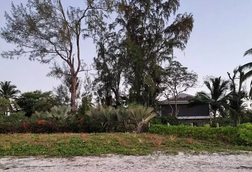 پانسیون Studio Solitaire Ideal For Two Adults