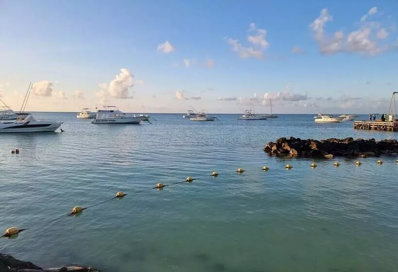 پانسیون Studio Solitaire Ideal For Two Adults